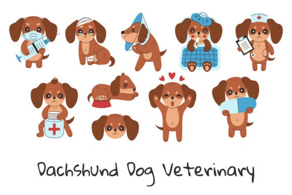 Dachshund Dog Veterinary PNG Clipart: A Practical Guide to Styles, Uses, and Alternatives