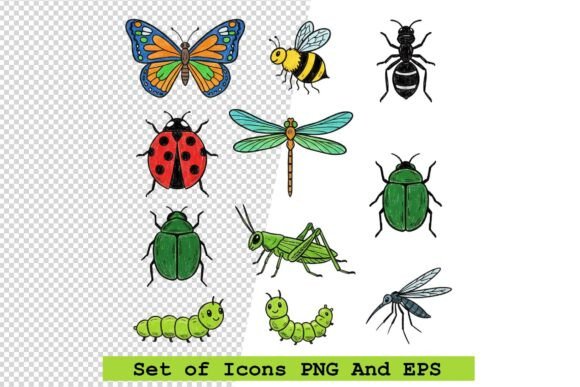 Insect Icons Vector Set for Designers